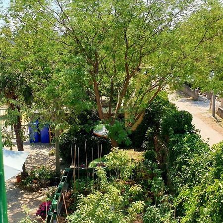 Apartmani Paron Sime Seline Esterno foto