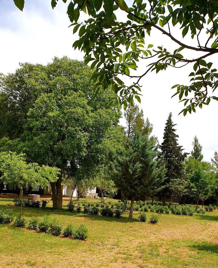 Apartmani Paron Sime Seline Esterno foto