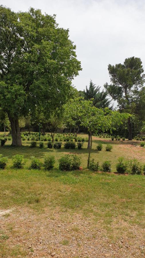 Apartmani Paron Sime Seline Esterno foto