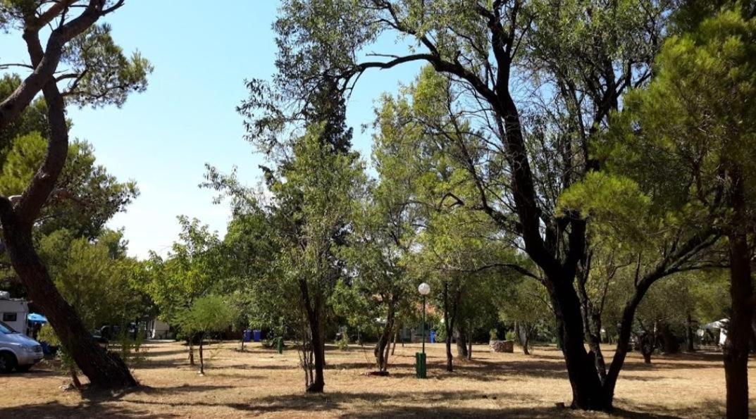 Apartmani Paron Sime Seline Esterno foto