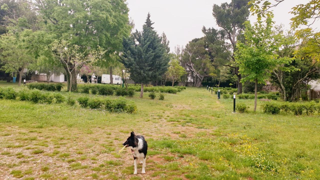 Apartmani Paron Sime Seline Esterno foto