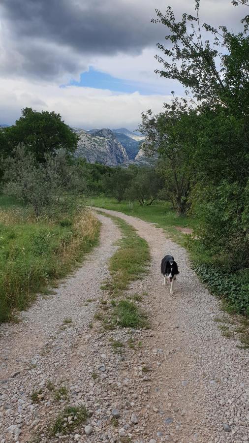 Apartmani Paron Sime Seline Esterno foto